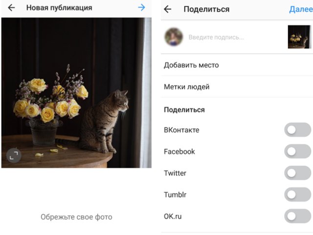 Geriausi būdai atkurti nuotraukas ir vaizdo įrašus „Instagram“ tinkle ir iš jo