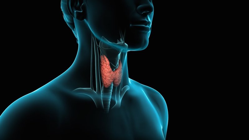 vorbește tiroidă