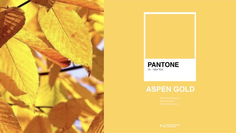 Couleur Aspen Gold