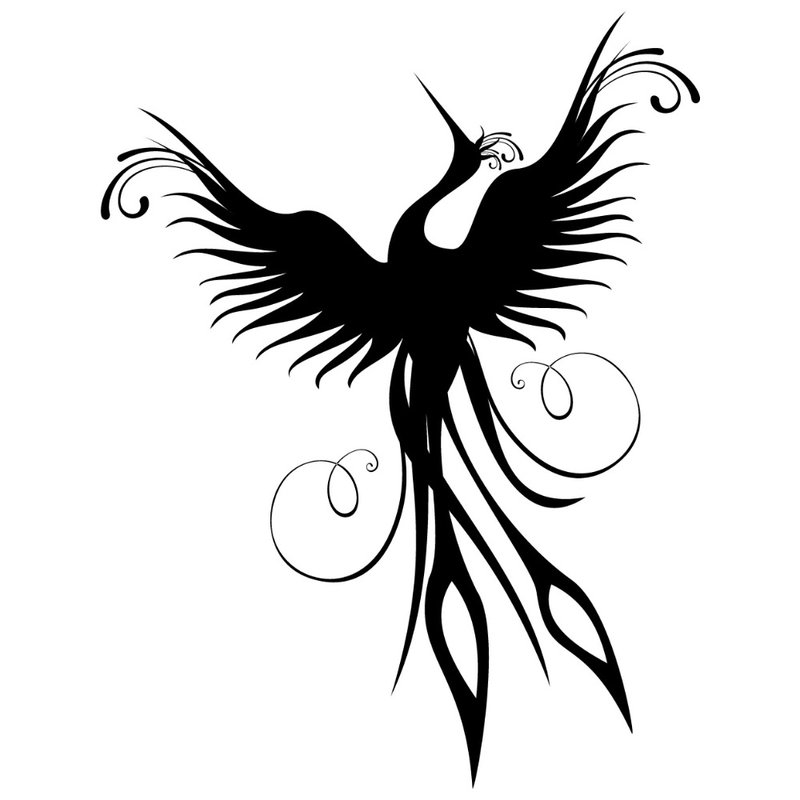 Croquis de tatouage Phoenix