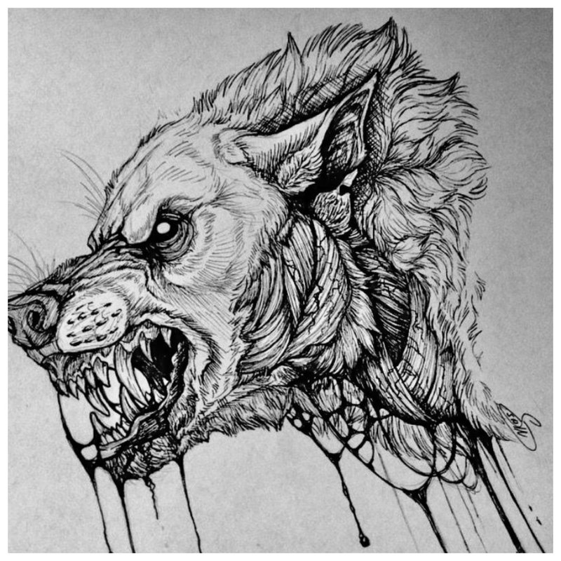 ذئب الفم - رسم للوشم