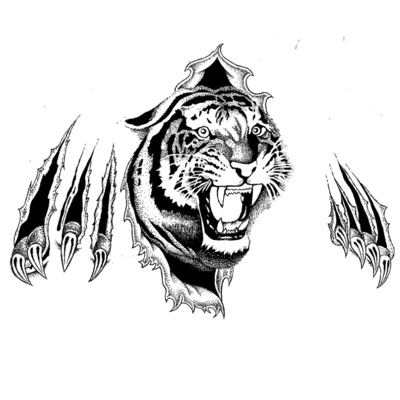 Tigre 3D avec des marques de griffes