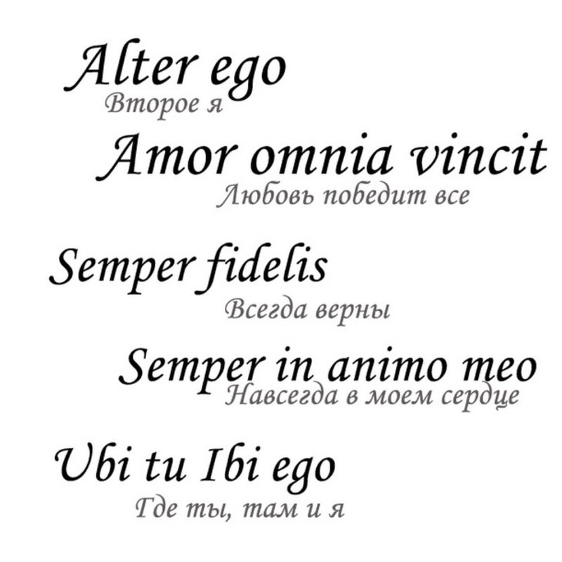 Schițe de tatuaj în latină