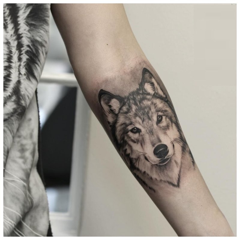 Aspect de lup - tatuaj pe braț
