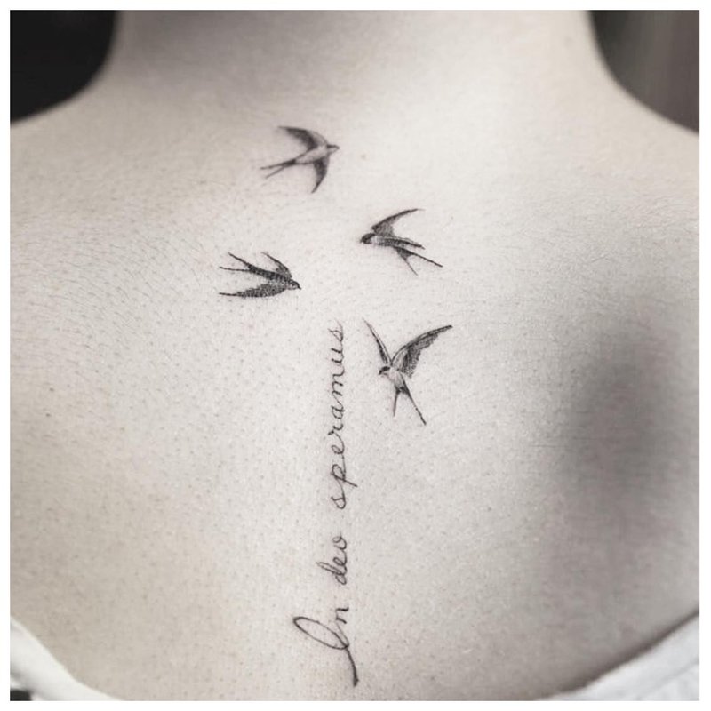Inscripția tatuajului cu păsări