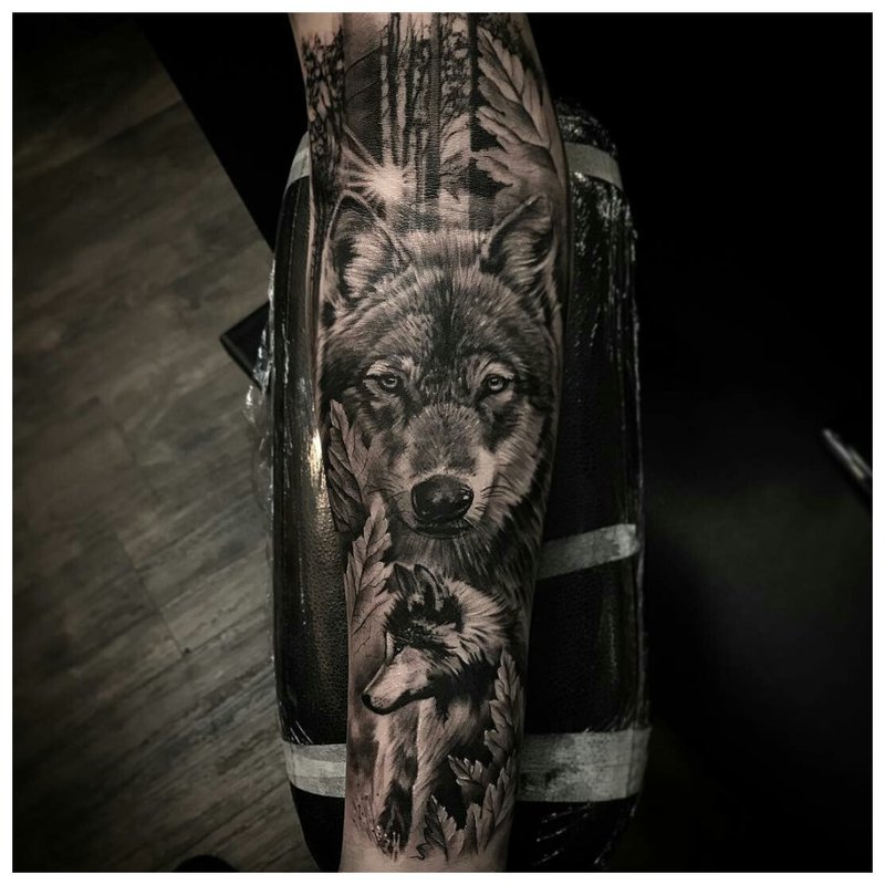 Tatuaj de lup frumos pe brațul unui bărbat