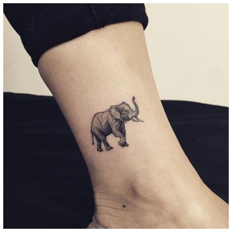 Éléphant - tatouage au bras