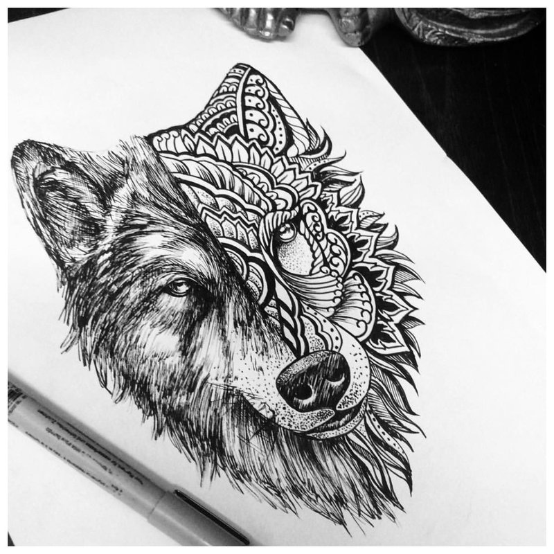 رسم الذئب في أنماط مختلفة