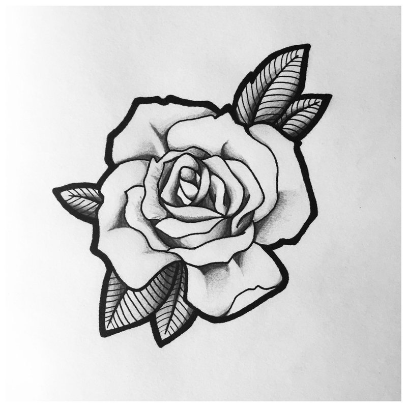 Rose - une belle esquisse pour un tatouage