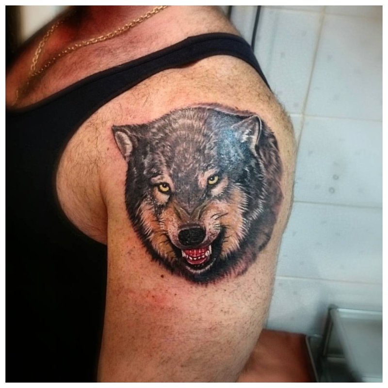Zâmbetul unui lup - tatuaj pe umărul unui bărbat
