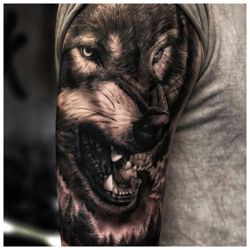 الذئب العدواني - الوشم الذكور