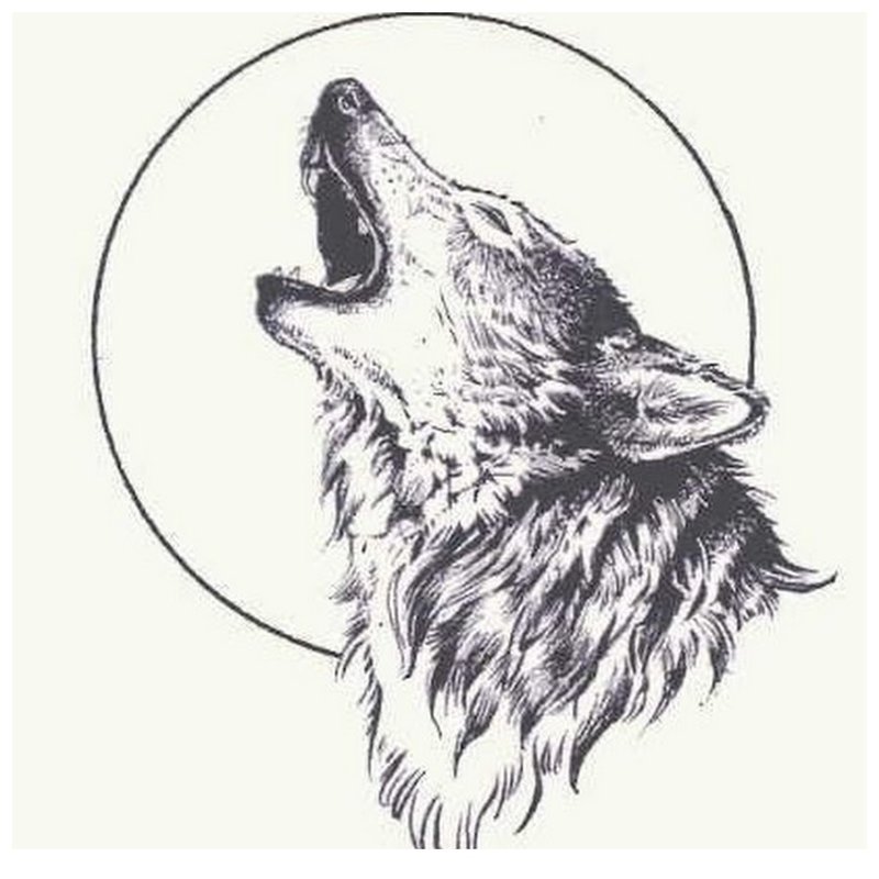 الذئب يعوي في القمر - رسم للوشم