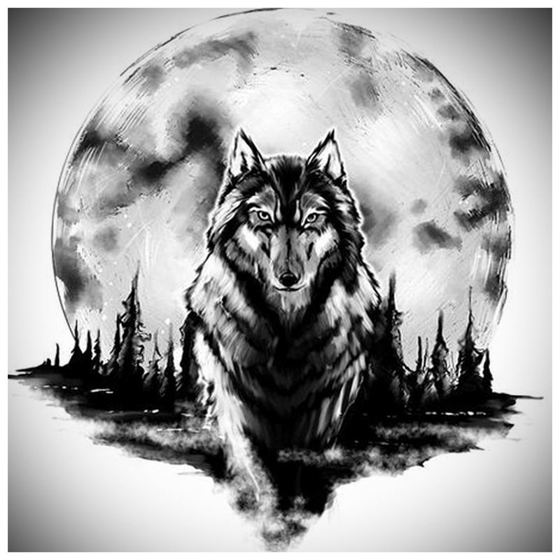 خطوات الذئب الجميلة - رسم للوشم