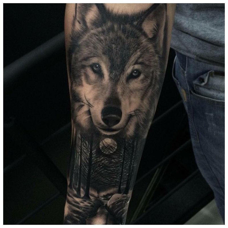 Față de lup - tatuaj pe brațul unui bărbat