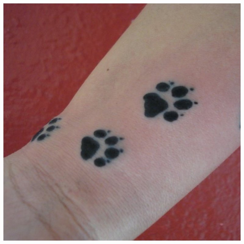 Pattes d'un tatouage d'animal
