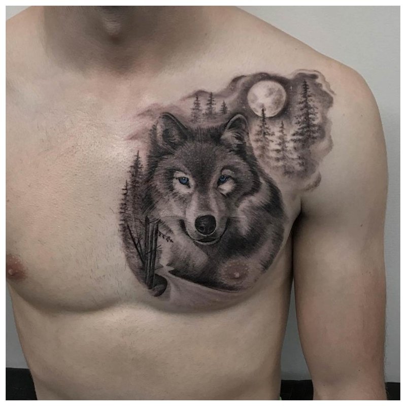Lupul calm - tatuaj pe pieptul unui bărbat