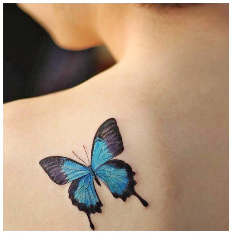 Papillon sur l'épaule