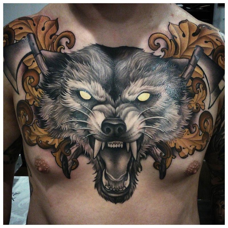 Lupul furios - tatuaj pe întregul piept al unui bărbat