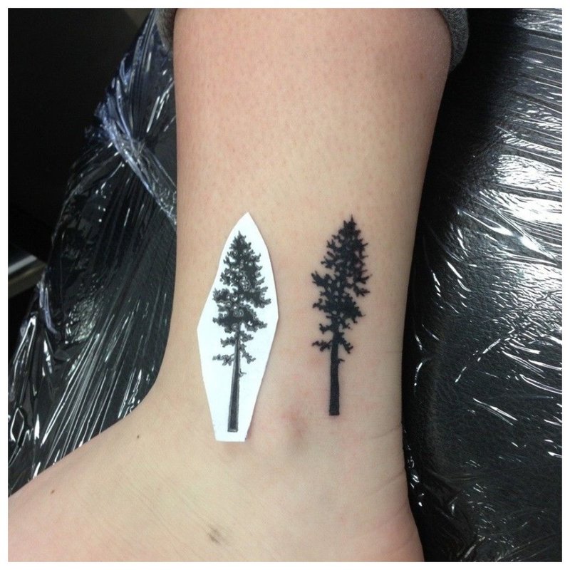 Medžio tatuiruotė