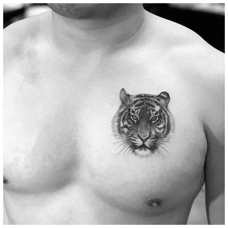 Tatouage animal sur la poitrine d'un homme