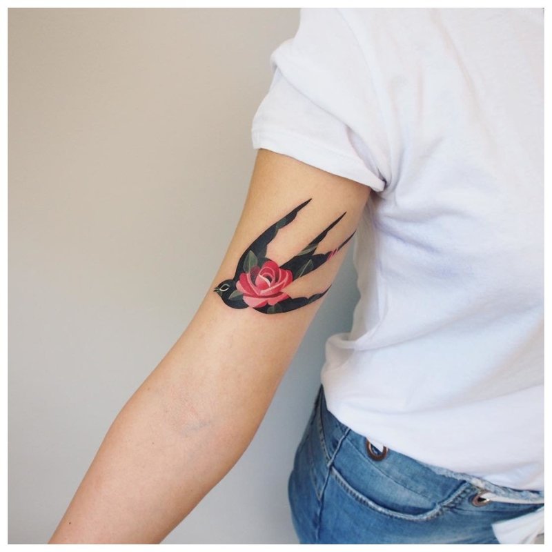 Akvarelės tatuiruotė kregždės ant rankos