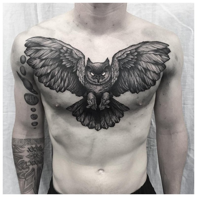 Bird - tatouage sur la poitrine d'un homme