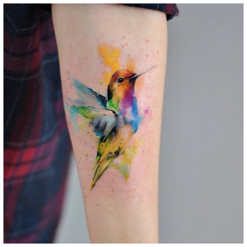 Tatouage aquarelle Colibri